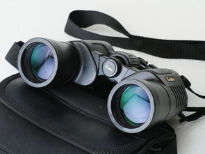 探索日本雙筒望遠鏡 代購渠道、價格解析與二手市場指南